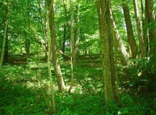 0 Ap Carter Hwy, Hiltons, VA 24258