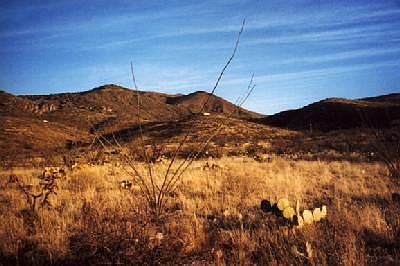 2nd image of 19155 S Sonoita Hwy