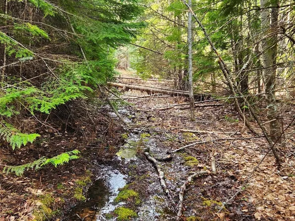 718 Slippery Slope Trl Lot 2, Priest River, ID 83856