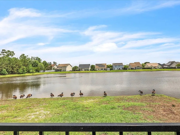 256 Savannah Ln — Photo 38