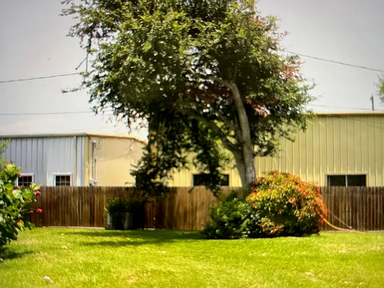 back yard view with trees and privacy fencing