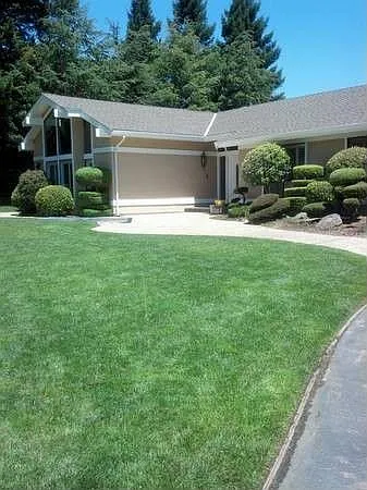 55 Tobin Clark Dr photo 1