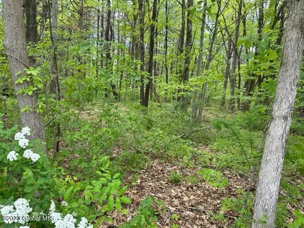 00 S Jarvis Road, Ravena, NY 12143