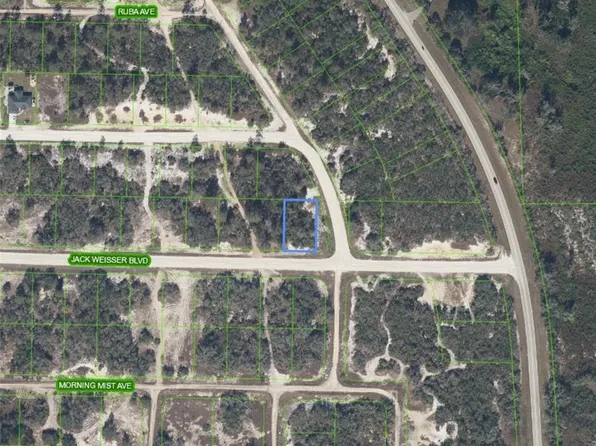 472 Jack Weisser Blvd Lot 99, Lake Placid, FL 33852