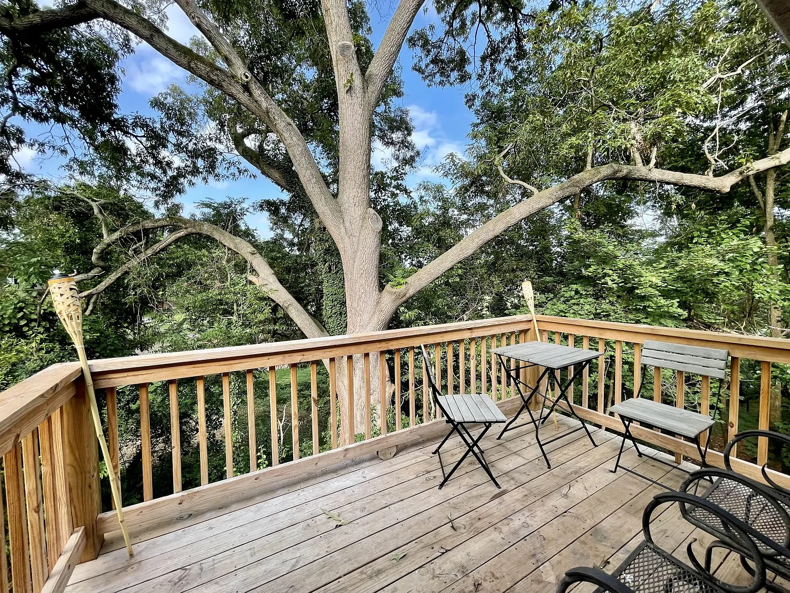 3 bed, 1000 sqft, $2,295 — Photo 4