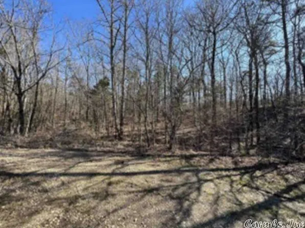 0 Son Rise Trl, Paron, AR 72122