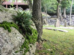 1939 Bairds Creek Rd, Vilas, NC 28692