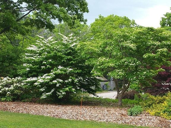 5th image of 7 Sheridan Dr