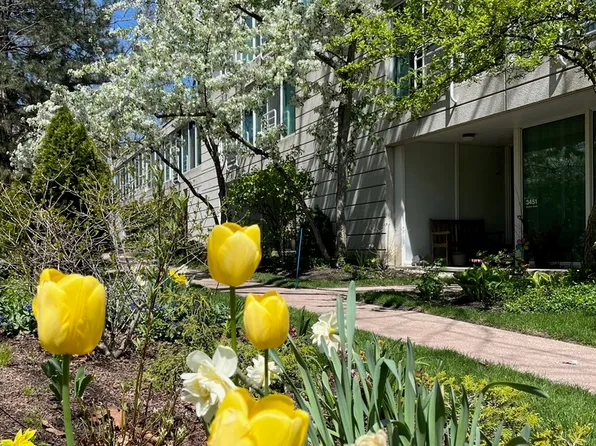 3451 Harrison St, Evanston, IL 60201