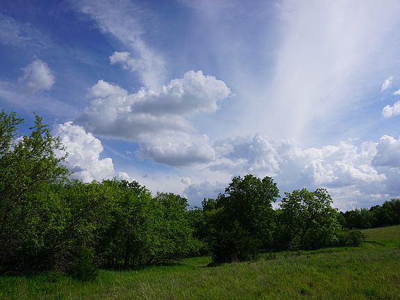 Looking southeast on Lot 5