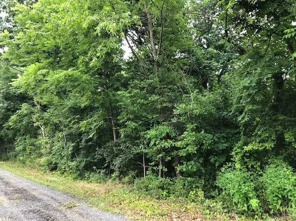 0 B St, Waynesboro, VA 22980