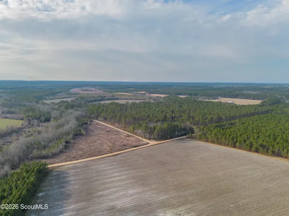 0 Reddish Rd, Odum, GA 31555