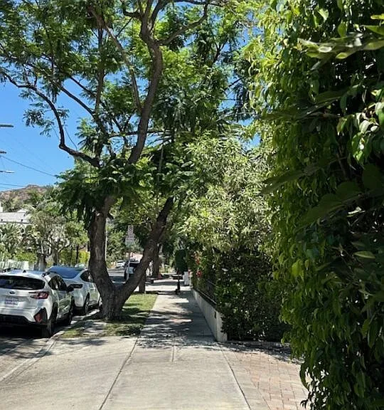 2020 Holly Dr #14 — Photo 4