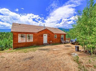 399 Buffum St, Bailey, CO 80421