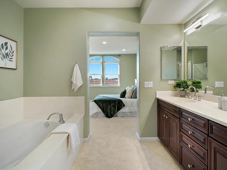 49002 Cinnamon Fern Cmn #402 — Photo 9