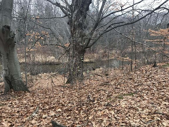 5th image of 12923 Riverview Dr