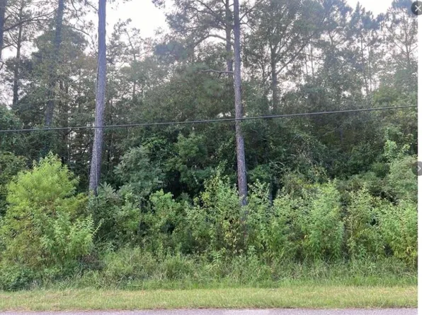 6944 San Marino Dr Lot 13&14, Theodore, AL 36582
