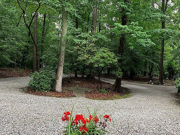 3rd image of 206 Dogwood Ct