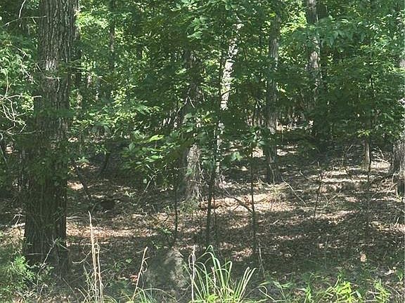 4th image of 486 Rocky Cove Ln Lot 25-25A