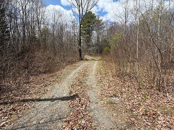 4th image of 1163 Seboeis Road