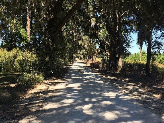 Beautiful paved canopy road.