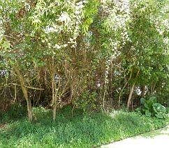 1st image of 4908 NW Fitzgerald Avenue