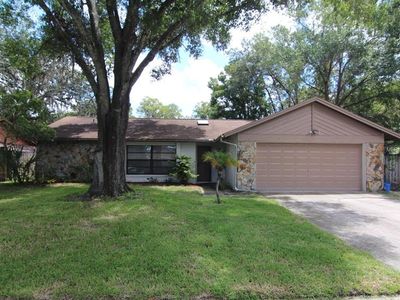 14901 Knotty Pine Pl, Tampa, FL, 33625