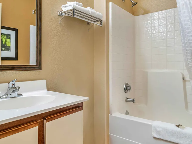 Studio Suite - 1 Queen Bed