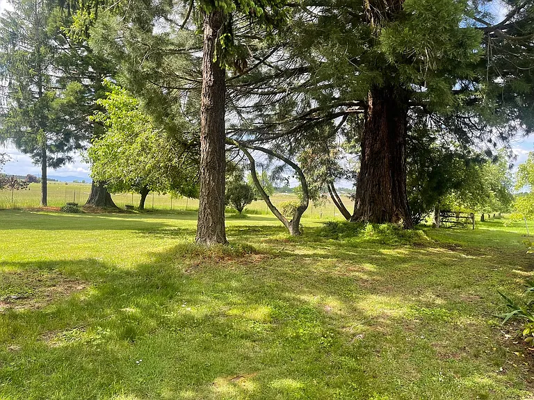 32000 Denny School Rd — Photo 24