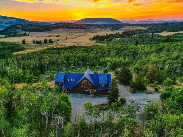 70 SHEEP CREEK Trail, Fairplay, CO 80440