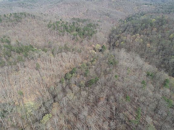 3rd image of 3404 Dutchman Rd