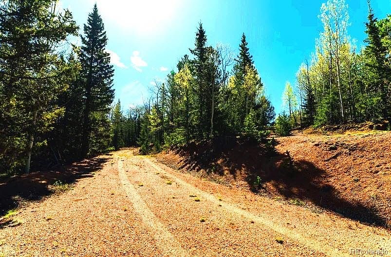 7th image of 977 County Road 61