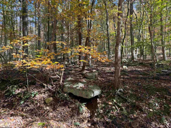 Clemtown Rd, Philippi, WV 26416