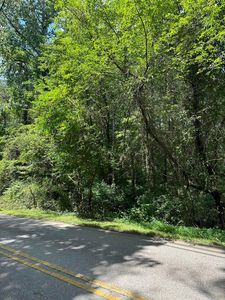 5103 Chestnut Ave, Signal Mountain, TN, 37377