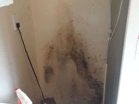 2nd image of 118 Leland Way