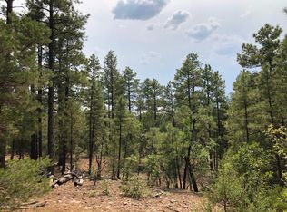 1641 S Snowberry Loop, Show Low, AZ 85901