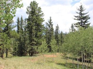 134 Pinewood Cir, Divide, CO 80814