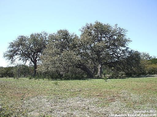 2nd image of TBD CR 131