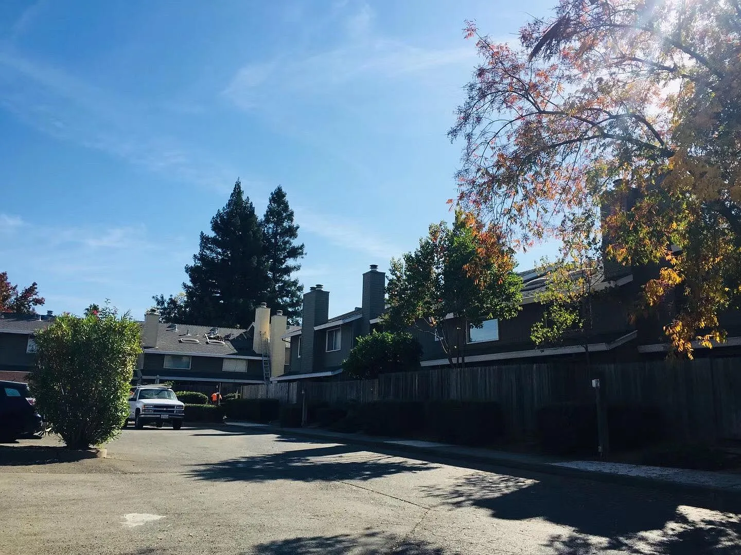 1 bed, 844 sqft, $1,500 — Photo 3