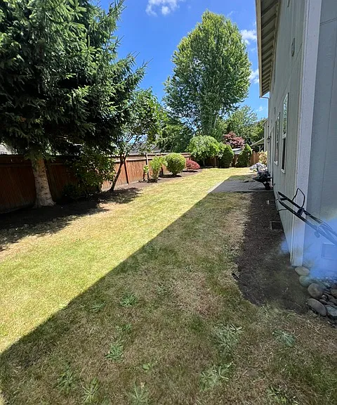 Fenced Back Yard