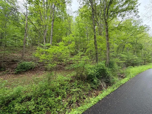 0.0 Coleman Rd, West Portsmouth, OH 45663