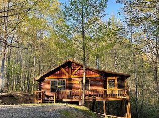 1311 Little Bushy Head Rd #3, Blue Ridge, GA 30513