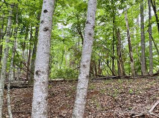 0 Granny Smith Ln LOT 30, Lake Lure, NC 28746