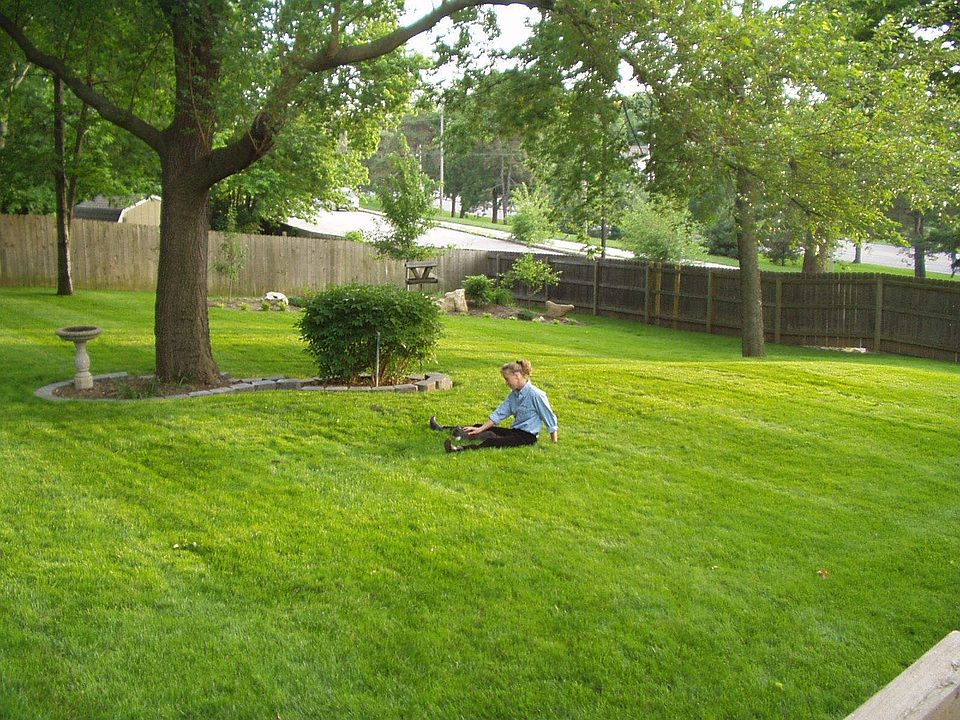 Back Yard from Deck