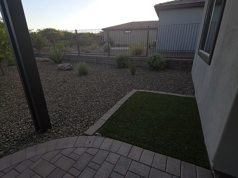 Backyard