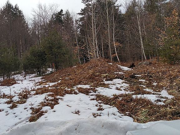Building site from driveway 