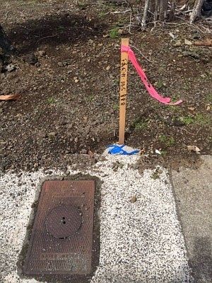 3rd image of 1746 Kilauea Ave Lot 4A