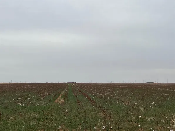 0 Fm 597, Abernathy, TX 79311