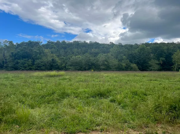 001 County Road 527, Gainesville, MO 65655