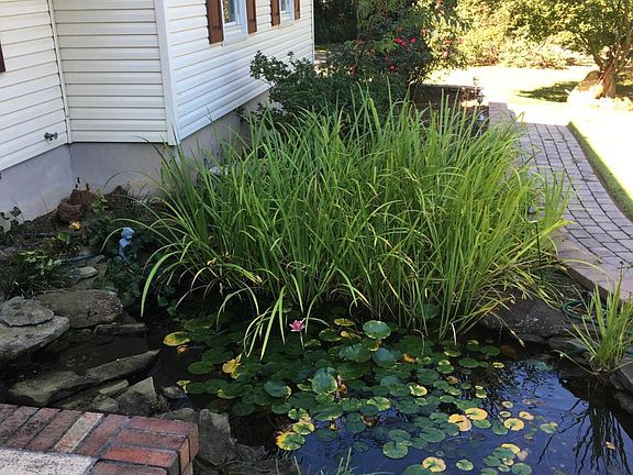 Landscaping/pond at front entrance